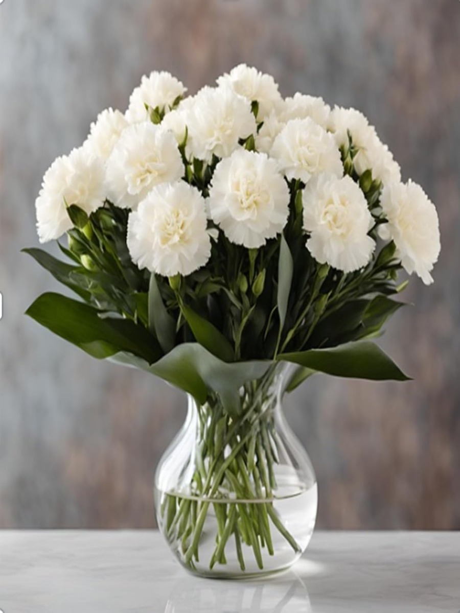 Carnations | KaBloom | KaBloom
